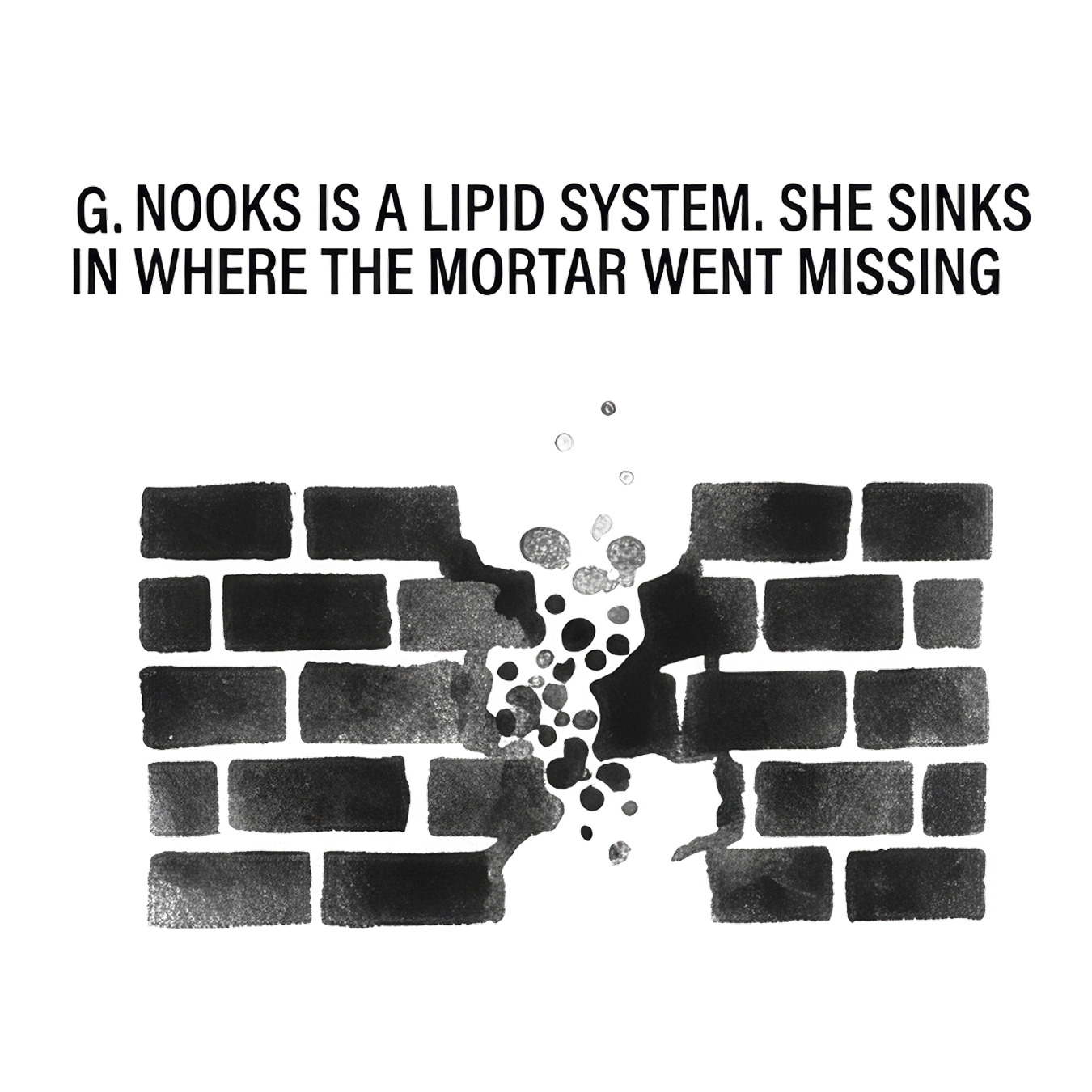 G. Nooks is a lipid system. She sinks in where the mortar went missing