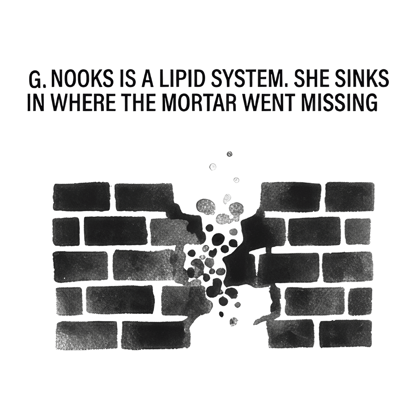 G. Nooks is a lipid system. She sinks in where the mortar went missing